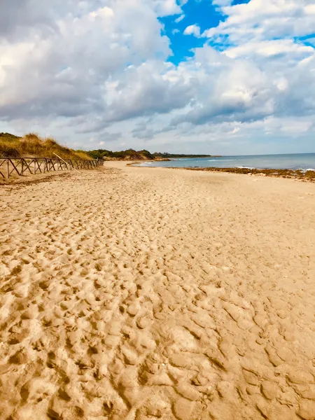 Beach adriatic