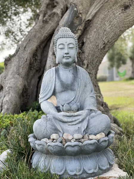 Buddha tree by Donna