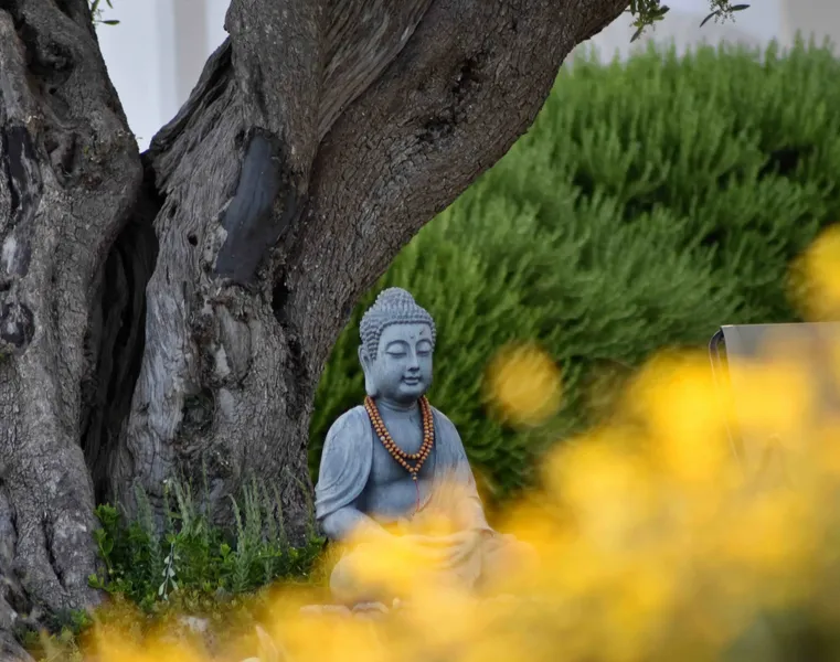 Yellow Buddha