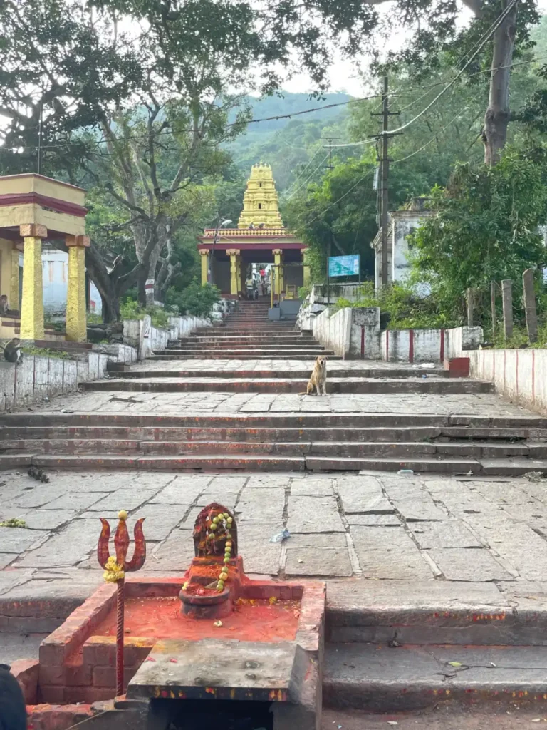 Temple